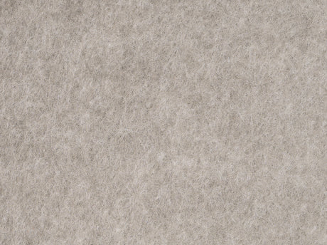 160 Lichen