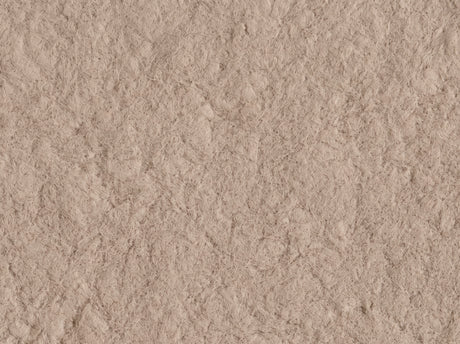 Almond 20