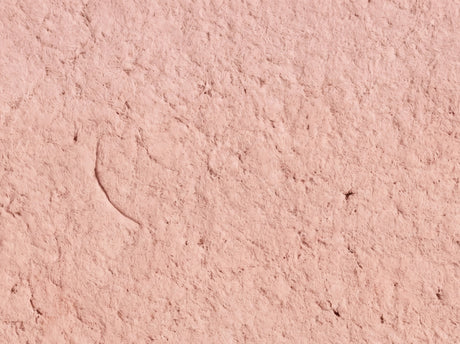 Rose 20