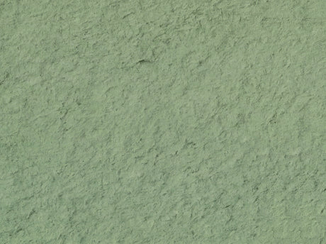 Aloe 50