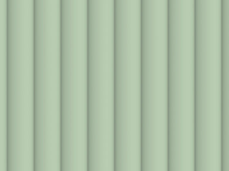 Aloe 50