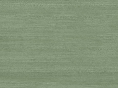 Aloe 50