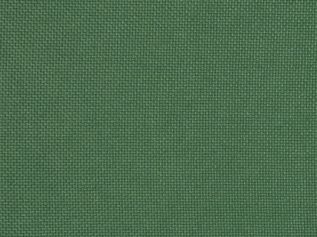 311 Nordic Pine