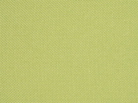 439 Moss