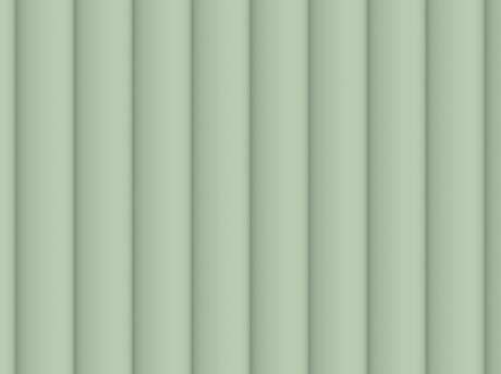 Aloe 50