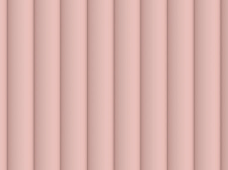 Rose 50